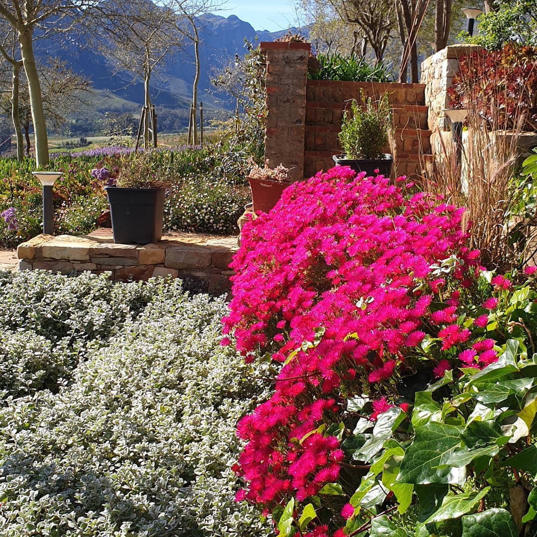 Gardens at De Zeven Guest Lodge Banhoek Valley | Stellenbosch